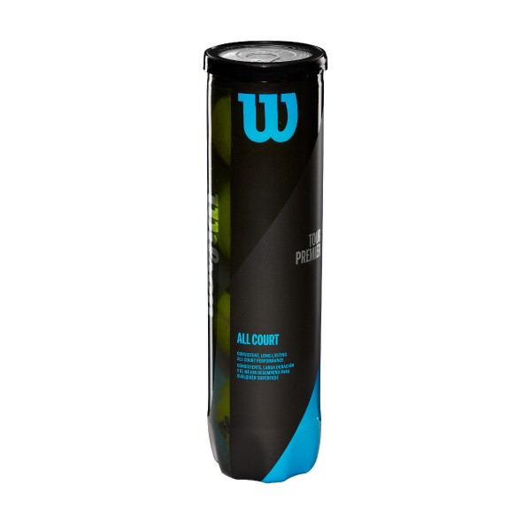 Wilson Tour Premier All Court 4er Dose